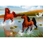 Mona Lisa diamond painting 40x30cm: paarden met witte vogels